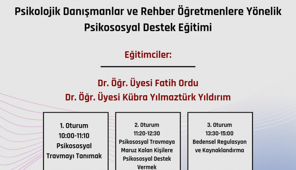 Psikolojik Danışmanlar ve Rehber Öğretmenlere Yönelik Psikososyal Destek Eğitimi